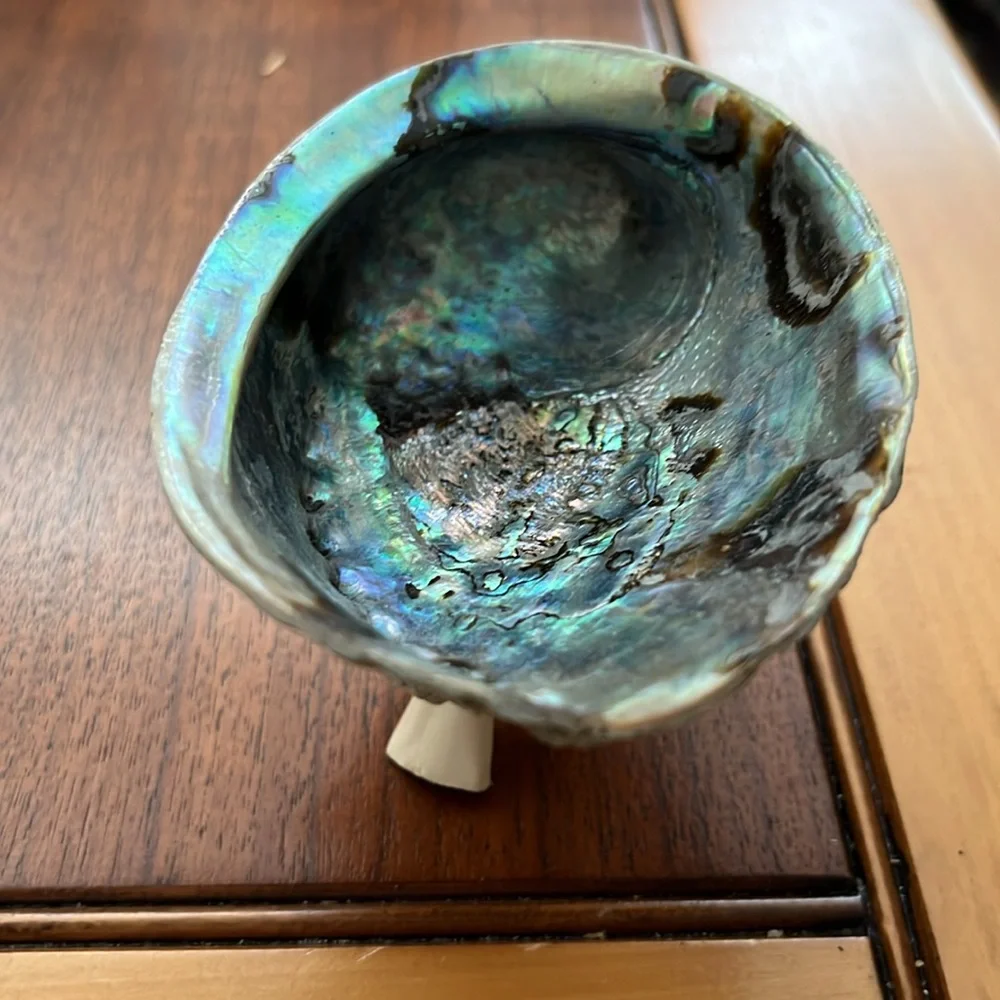 Abalone Shell Incense Burner-Smudge Bowl - Picture 8 of 13